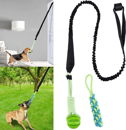 Pawsome TugDent Play Toy