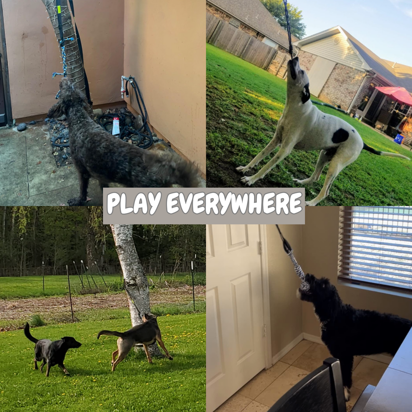 Pawsome TugDent Play Toy